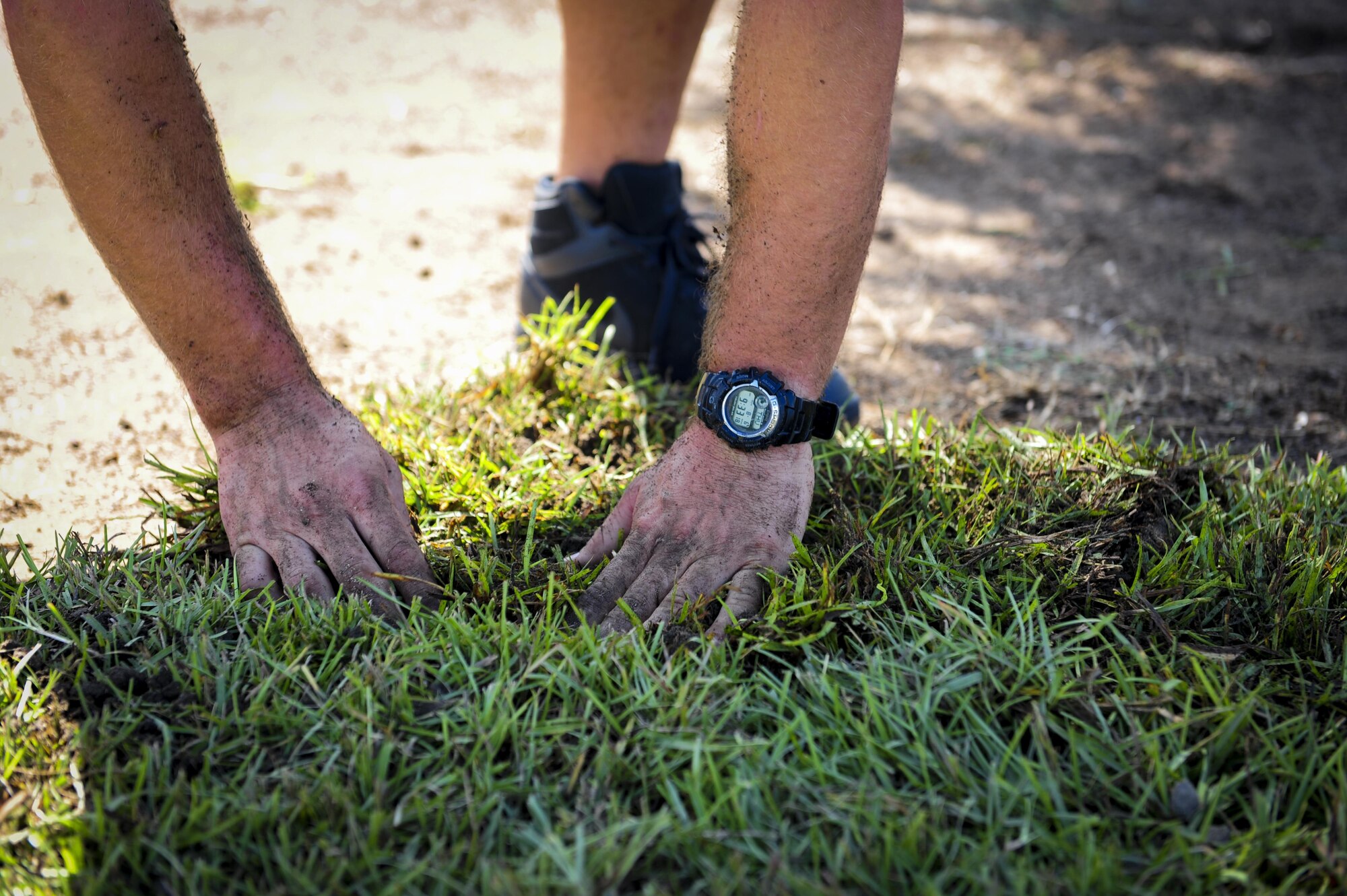 Senior Airman Thomas-Jay Frick, 1st Special Operations Component Maintenance Squadron hydraulics technician, places sod outside Soundside Lodging on at Hurlburt Field, Fla., Aug. 6, 2015. Approximately 30 Airmen from Hurlburt laid 19,800 square feet of sod at the Soundside Lodging as part of Pride Epidemic. (U.S. Air Force photo by Senior Airman Meagan Schutter)