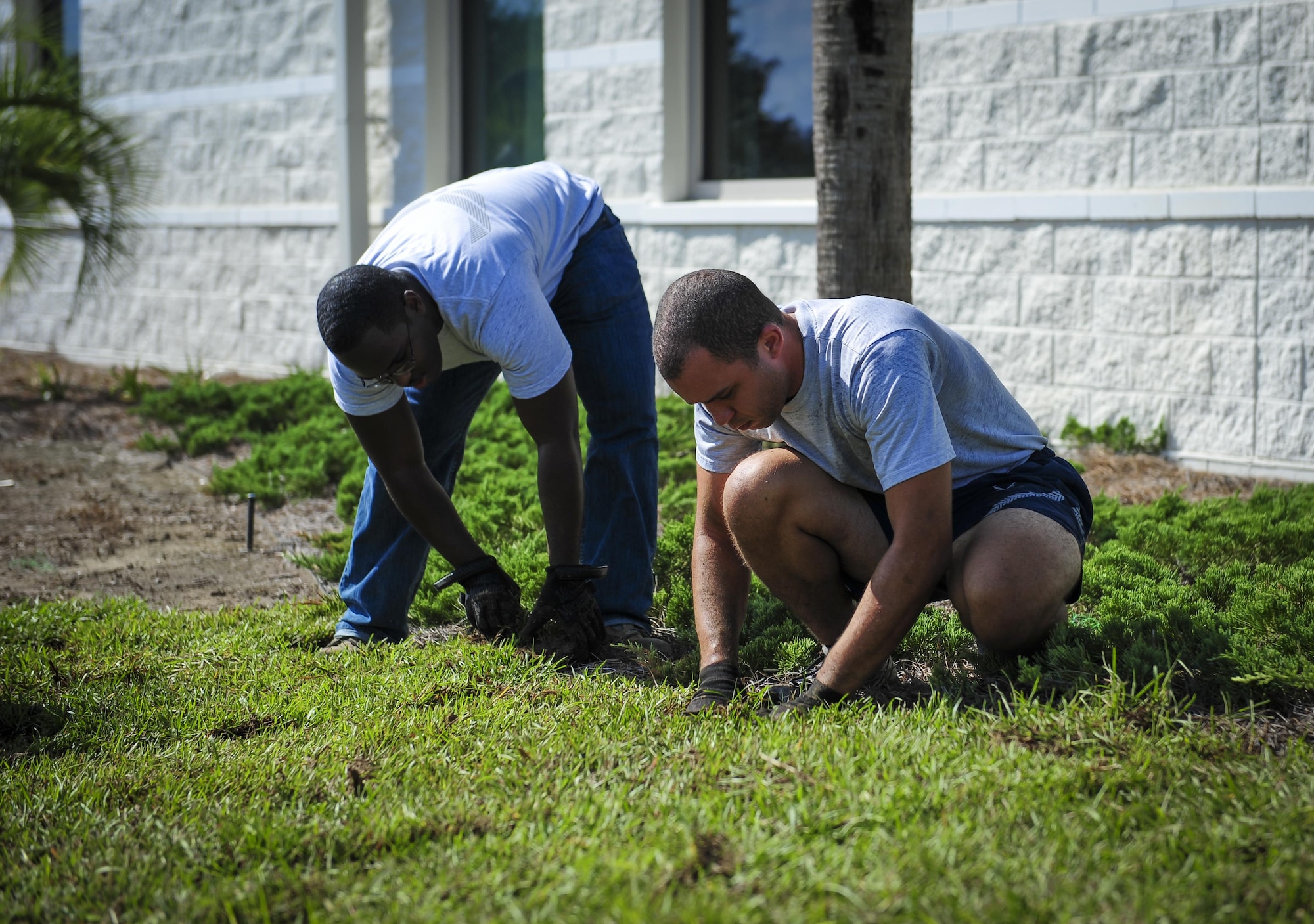 Airman 1st Class Joey Wiley, 901st Special Operations Aircraft Maintenance Squadron crew chief and Airman 1st Class Christopher Lomax, 1st Special Operations Medical Support Squadron medical logistics technician, lay down sod at Soundside Lodging on Hurlburt Field, Fla., Aug. 6, 2015. Approximately 30 Airmen from Hurlburt laid 19,800 square feet of sod at the Soundside Lodging as part of Pride Epidemic. (U.S. Air Force photo by Senior Airman Meagan Schutter)