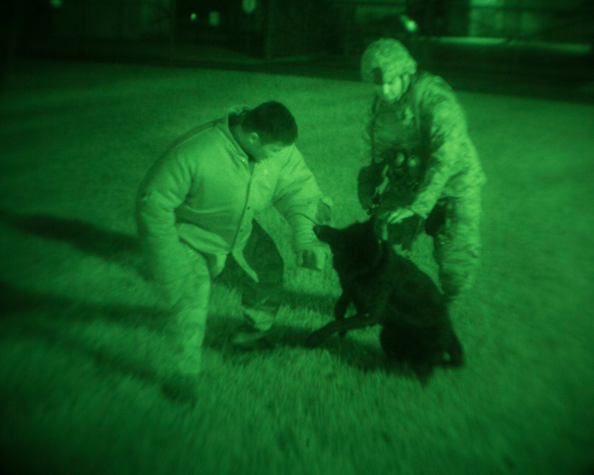 Military Working Dog handlers from the 374th Security Forces Squadron with MWD Stella perform controlled aggression training at Yokota Air Base, Japan, Aug. 6, 2015. Yokota’s MWD section is trained in environments mirroring every predictable real-world scenario. (U.S. Air Force photo by Osakabe Yasuo/Released) 