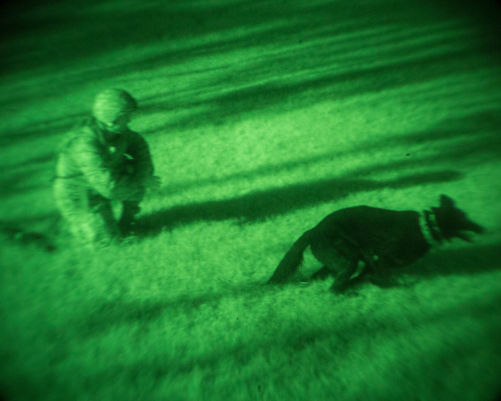 Staff Sgt. Edward Stewart, 374th Security Forces Squadron military working dog handler and Stella, 374th SFS military working dog, perform controlled aggression training at Yokota Air Base, Japan, Aug. 6, 2015. Members from the Military Working Dog section train for any kind of environment to be ready for real-world situations. (U.S. Air Force photo by Osakabe Yasuo/Released)