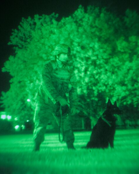 Staff. Sgt. Edward Stewart, 374th Security Forces Squadron military working dog handler, holds on to Stella, 374th SFS military working dog, before setting him on a potential suspect during a joint training session at Yokota Air Base, Japan, Aug. 6, 2015. The Military Working Dog section from the 374th SFS provided various training sessions to Japan Self-Defense Forces. (U.S. Air Force photo by Osakabe Yasuo/Released)  