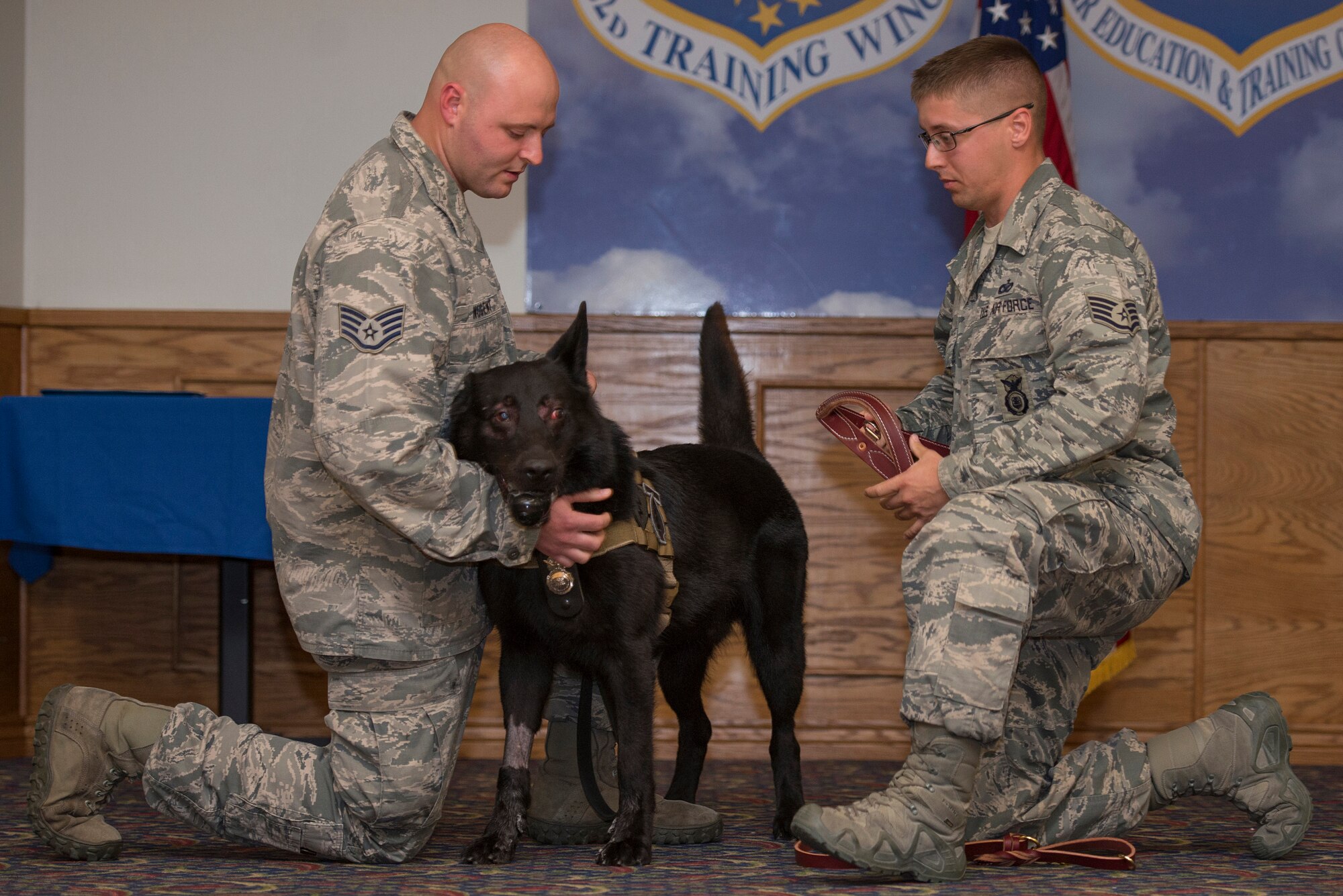 U.S. Air Force Military Working Dog Larry receives his retirement collar from U.S. Air Force Staff Sgt. Tyler Jones, Larry’s first handler from the 325th Security Forces Squadron at Tyndall Air Force Base, Fla., during his ceremony at Sheppard Air Force Base, Texas, Aug. 12, 2015. Larry was assigned to Sheppard from Aug. 12, 2009 to Aug. 12, 2015. (U.S. Air Force photo by Senior Airman Kyle Gese/Released)