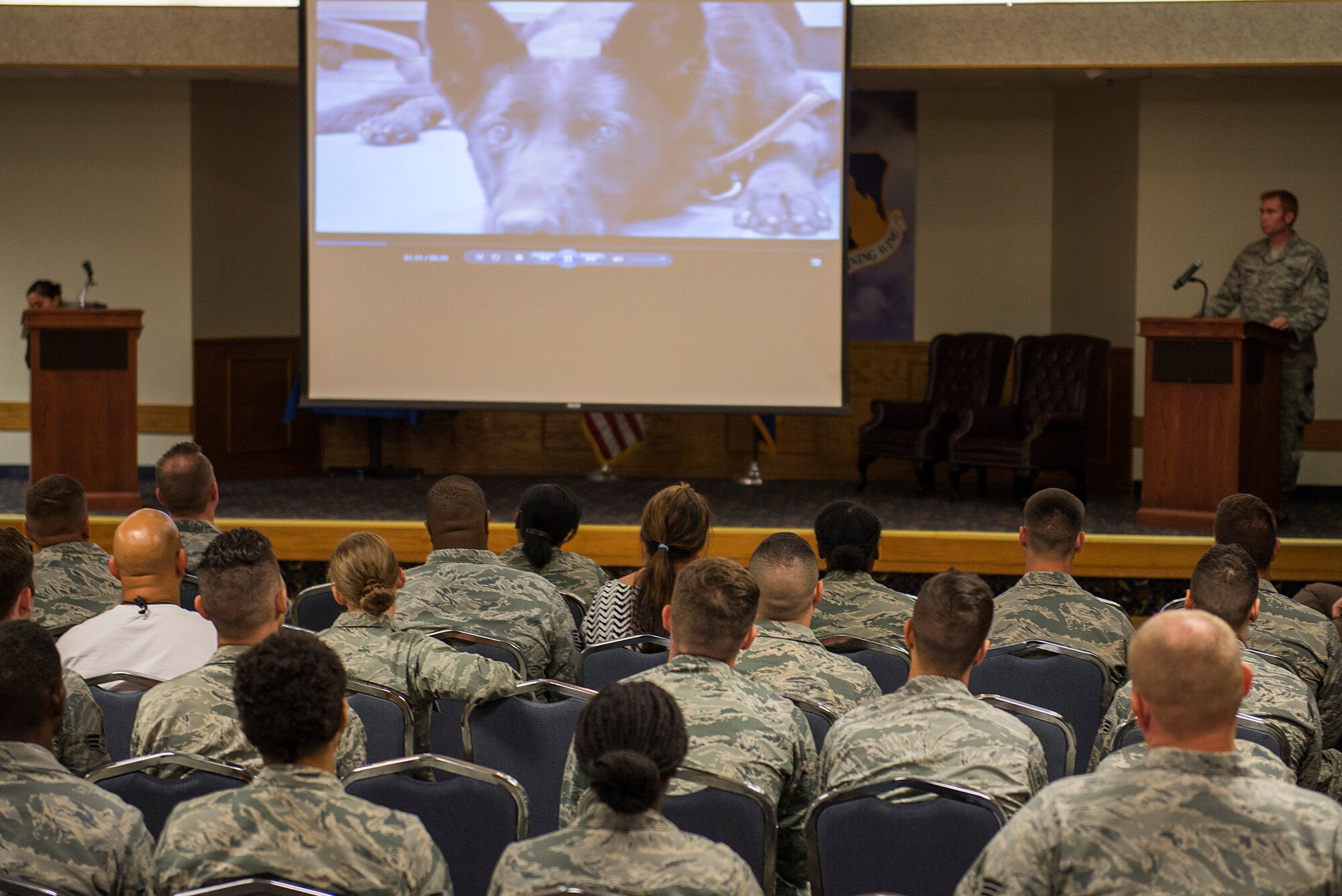 Airmen attend the retirement ceremony of Military Working Dog Larry at Sheppard Air Force Base, Texas, Aug. 12, 2015. Larry was granted an early retirement after more than 8,000 working hours and more than 2,000 explosive detection search time. (U.S. Air Force photo by Senior Airman Kyle Gese/Released)