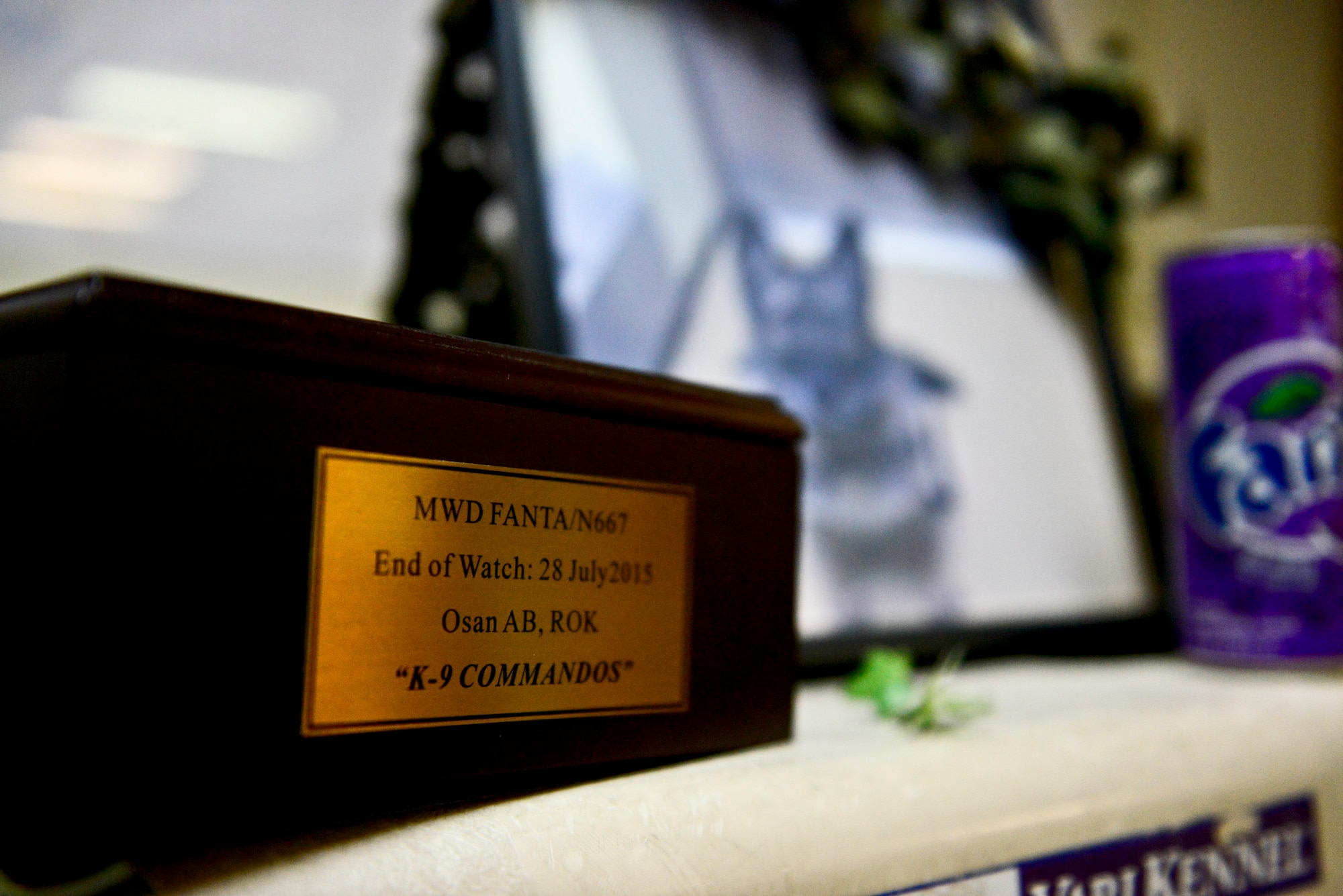 Military Working Dog Fanta was remembered during the memorial service Aug. 10, 2015 on Osan Air Base, Republic of Korea. Fanta, who served for more than eight years with the U.S. Air Force as a patrol explosive detection dog, passed away on July 28. (U.S. Air Force photo/Senior Airman Kristin High)