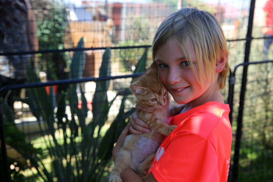 The base animal shelter hosted an event during Clear the Shelters day, holding 36 dogs and cats up for adoption at reduced prices, Aug. 15. Other attractions included a military working dogs exhibit, a barbecue lunch and a petting zoo.
