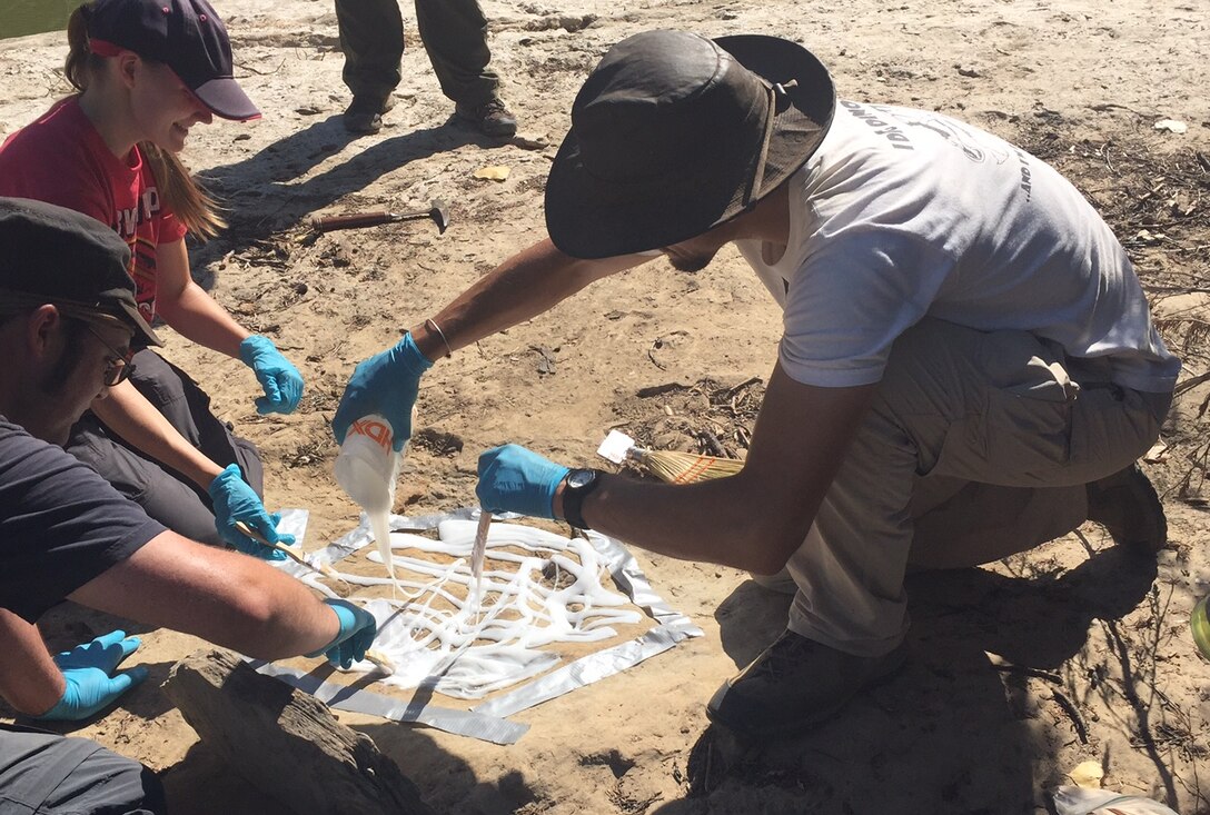 A team of paleontologists make a silicon cast of a dinosaur track at Grapevine Lake.  The tracks were first noticed in mid-July in an area where park rangers had encountered tracks during a previous heavy rain.  The Corps wishes to remind everyone to avoid disturbing archaeological sites so that valuable historical artifacts can be preserved and enjoyed by everyone.