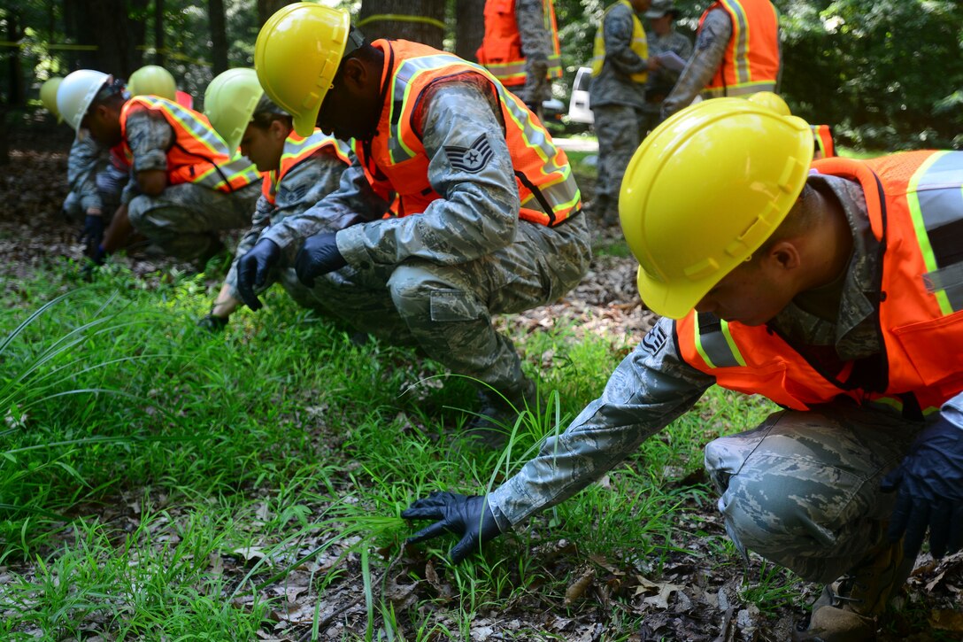 U.S. Air Force Airmen from the 633rd Force Support Squadron search and rescue team scavenge a wooded area for debris during a helicopter training exercise at Fort Eustis, Va., Aug. 13, 2015.  The exercise is designed to familiarize and prepare Airmen for real-world events. (U.S. Air Force photo by Staff Sgt. Ciara Gosier/Released)