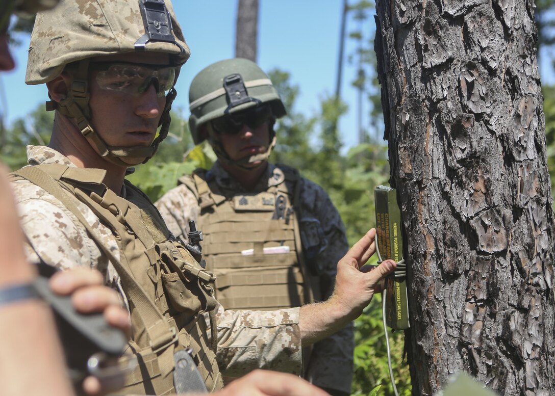 Marines from 2nd Combat Engineer Battalion place C-4 high explosives on a tree during a fell stranding timber demolition range at Fort A.P. Hill, Va., Aug. 14, 2015. The Marines brought down eight trees using high explosives in order to train on one method of obstacle creation and area clearing as part of the battalion’s deployment for training exercise to enhance their basic infantry and engineer skills in preparation for upcoming deployments. (U.S. Marine Corps photo by Cpl. Michelle Reif/Released)