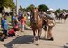 ALTUS AIR FORCE BASE, Okla. – U.S. Air Force Col. Todd. Hohn, 97th Air Mobility Wing commander, remounts a horse after a rest stop during the 17th-Annual Altus AFB Cattle Drive, Aug. 20, 2015. The cattle drive kicks off the annual Great Plains Stampede Rodeo, where there will be two contests held for base personnel: a Tug o’ War and calf scramble. (U.S. Air Force photo by Airman 1st Class Megan E. Acs/Released)