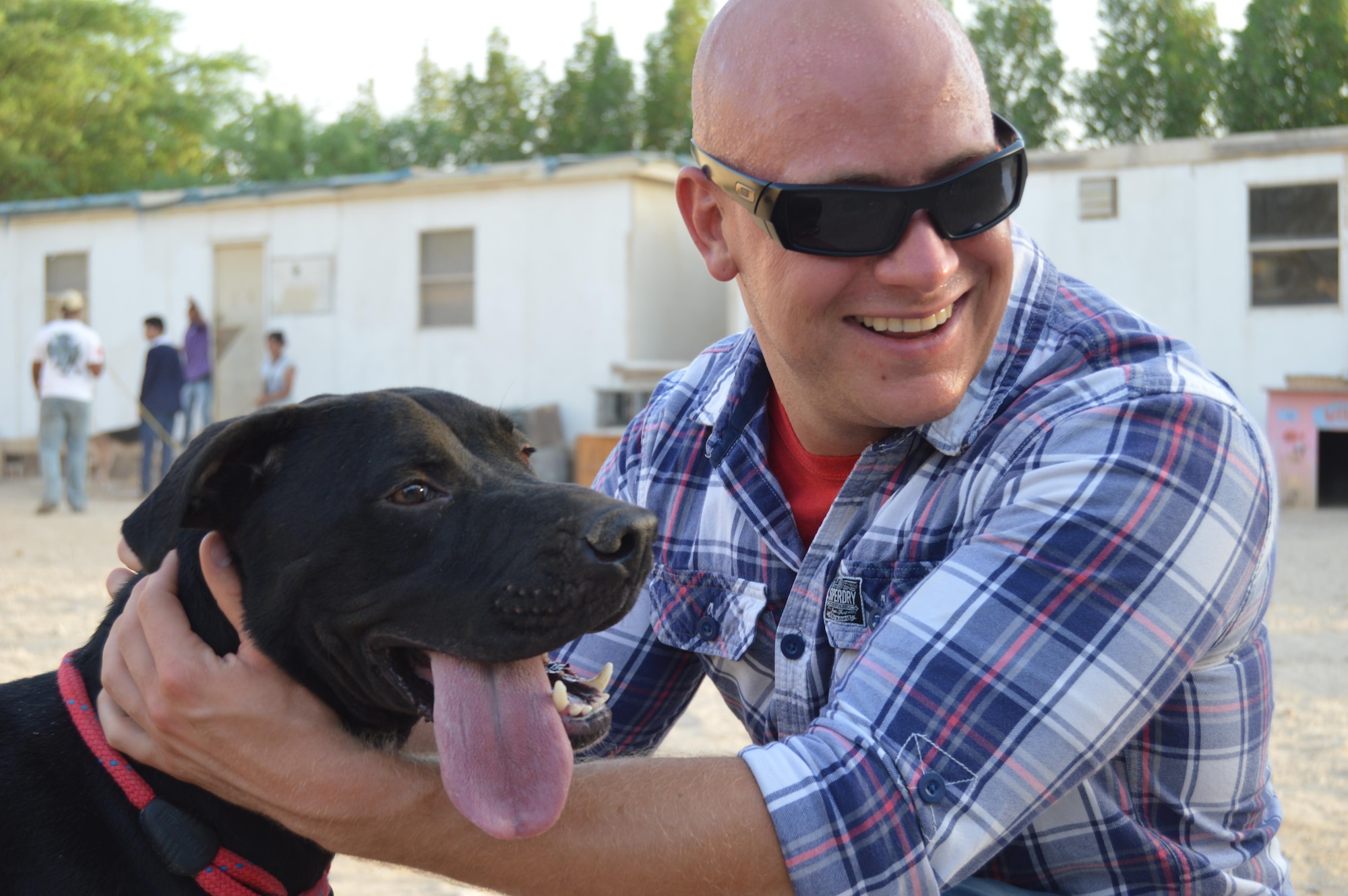Senior Airman Jesse Garrett, 379 Expeditionary Civil Engineer Squadron Fire Department, shares some quality time with one of the rescue K-9’s at Qatar Animal Welfare Society (Q.A.W.S) August 15, 2015 Ar-Rayyan, Qatar. The establishment has served as a Doha refuge for abandoned animals since 2003. (U.S. Air Force photo by Senior Airman Alexandria Bandin/Released)