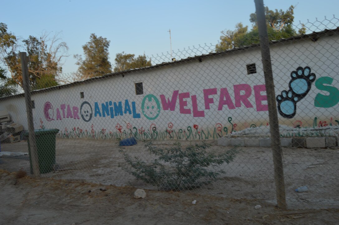 Al Udeid lends a hand with Qatari Animal Shelter
