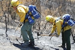 Soldiers with Task Force Charlie, California Army National Guard, use Pulaskis to mop up an area previously burned in the Jerusalem Fire. 