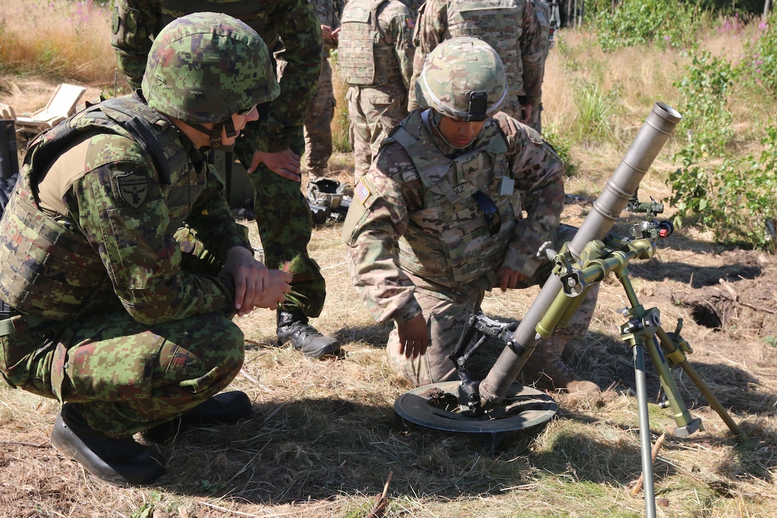 U.S. soldiers show an Estonian soldier how the mortar system operates during a call for fire live exercise in Estonia, Aug. 7, 2015. Estonian soldiers joined U.S. counterparts for a day of hands-on joint training in firing the 60 mm mortars during Operation Atlantic Resolve.