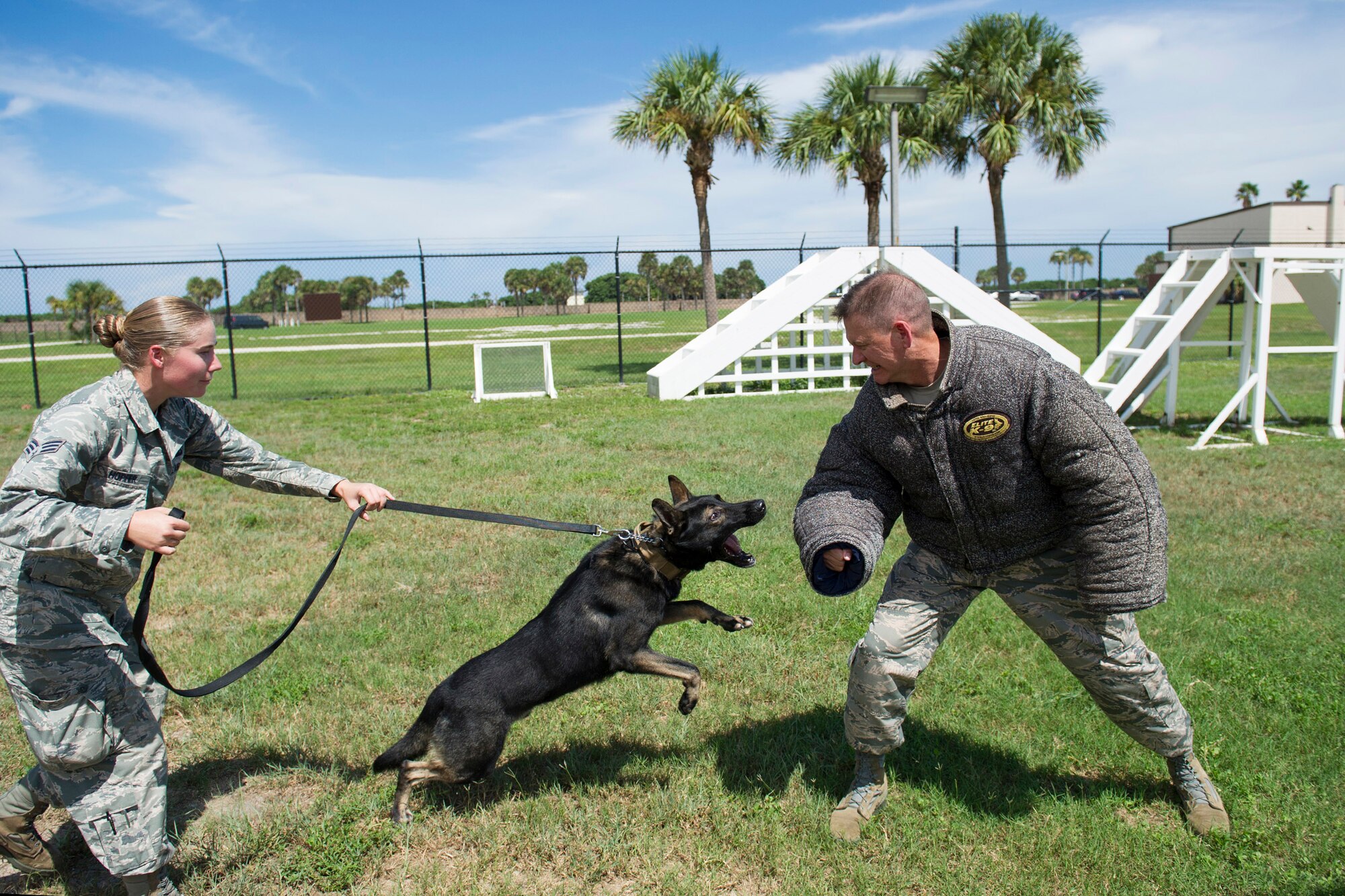 Senior Airman Frances Hopfer, 45th Security Forces Squadron Military Working Dog handler, and Digo, MWD, participate in a patrol attack demonstration with Brig. Gen. Wayne Monteith, 45th Space Wing commander, Aug. 20, 2015, at Patrick Air Force Base, Fla. The new commander met with the personnel of the 45th SFS and was introduced to the facilities they use in day-to-day operations. (U.S. Air Force photo by Matthew Jurgens/Released) 