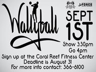 Walleyball Tournament