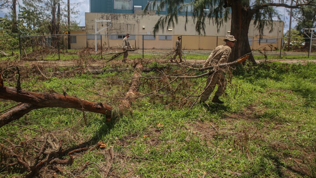 U.S. Marines clear debris at a high school as part of a typhoon relief mission in Saipan, Aug. 12, 2015 The Marines with Echo Company, Battalion Landing Team 2nd Battalion, 5th Marines, 31st Marine Expeditionary Unit and Combat Logistics Battalion 31, 31st MEU, assisted the locals of Saipan by clearing debris from several schools. The Marines and sailors of the 31st MEU were conducting training near the Mariana Islands when they were redirected to Saipan after the island was struck by Typhoon Soudelor Aug. 2-3. 