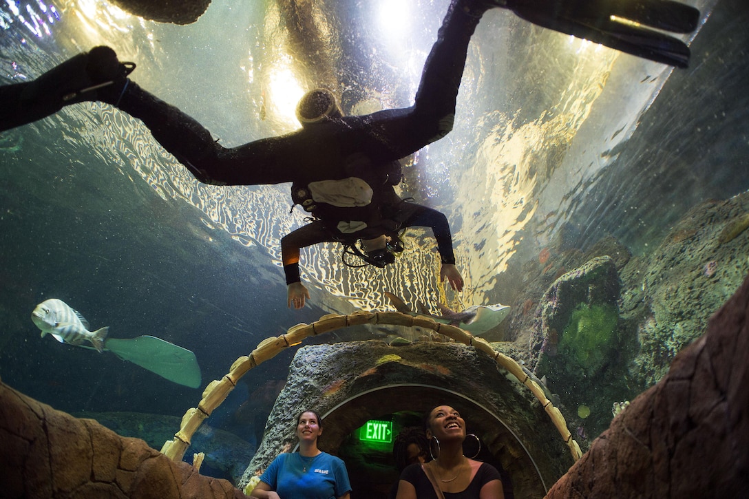 Navy Senior Chief Petty Officer Roy Vanek interacts with visitors and a staff member at the Kansas City Sea Life Aquarium during Kansas City Navy Week in Kansas City, Mo., Aug. 21, 2015. The event gives residents in areas with limited exposure to the Navy a chance to meet sailors and learn about the Navy's capabilities. Vanek is assigned to Explosive Ordnance Disposal Group 1. U.S. Navy photo by Petty Officer 1st Class Jennifer Gold
