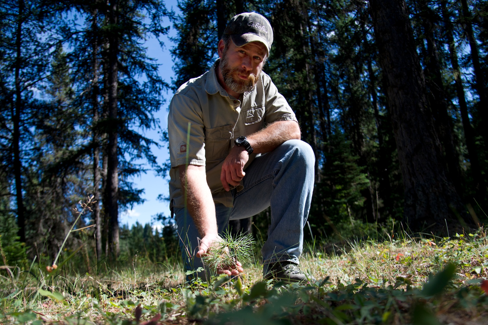 Todd Foster, 336th Training Group training area manager, poses with a sapling July 29, 2015, at Colville National Forest, Wash. Because of the efforts from the Foster and Rick Hall, Air Force liaison to the U.S. Forest Service, between 500 and 1,200 trees per area, have been planted in U.S. Air Force Survival School training areas giving nature a jumpstart by 10 to 15 years. (U.S. Air Force photo/Airman 1st Class Nicolo J. Daniello)