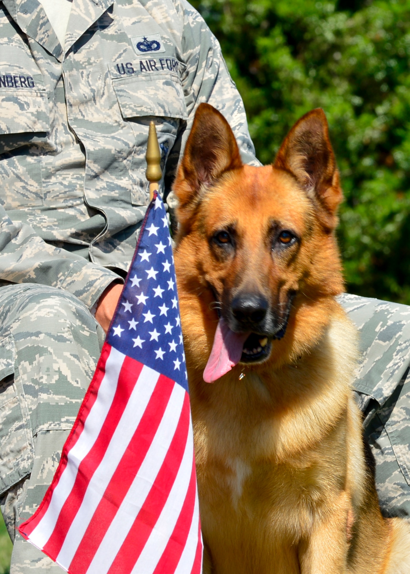 Rico, 436th Security Force Squadron military working dog, sits with his handler, Staff Sgt. Jason Spangenberg, 436th SFS MWD handler and trainer, during the War Dog Memorial Dedication Aug. 22, 2015, at the Kent County Veterans Memorial Park in Dover, Del. Spangenberg and Rico were special guests at the event and their image is engraved on the new War Dog Memorial located at the memorial park. (U.S. Air Force photo/Airman 1st Class William Johnson)