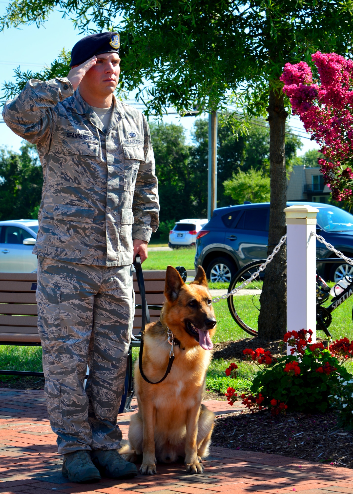 Staff Sgt. Jason Spangenberg, 436th Security Forces Squadron military working dog handler and trainer, and his MWD, Rico, salute during the playing of the national anthem at the start of the War Dog Memorial Dedication event Aug. 22, 2015, at the Kent County Veterans Memorial Park in Dover, Del. A 5-foot black granite stone has an image of Spangenberg and Rico engraved on it and remembers all present and past war dogs and their handlers. (U.S. Air Force photo/Airman 1st Class William Johnson)