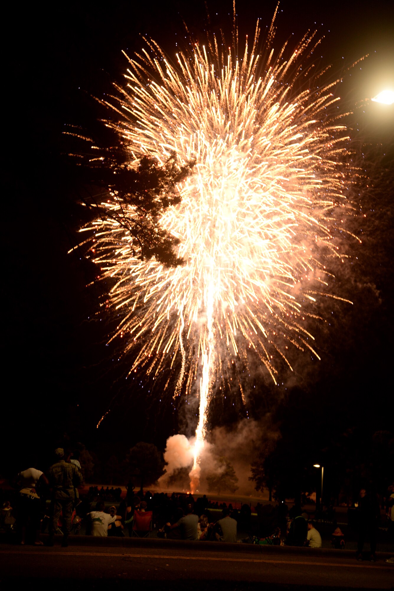 Members of Team Seymour look on as a firework explodes during the Independence Day Celebration and Back to School Bash, Aug. 21, 2015, at Seymour Johnson Air Force Base, North Carolina. More than 100 members of Team Seymour attended the bash that featured food vendors, live music, and various activities for families. (U.S. Air Force photo/Airman 1st Class Ashley Williamson)