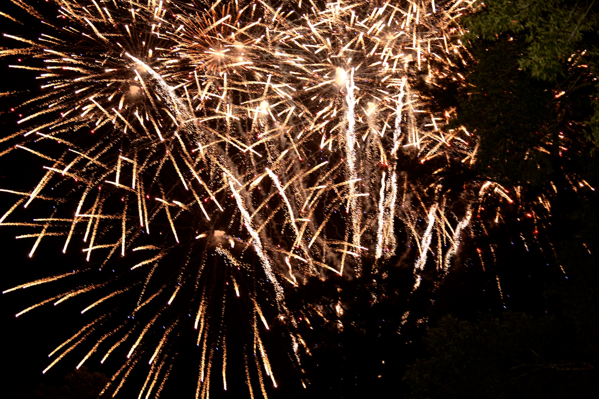 The Independence Day Celebration and Back to School Bash featured fireworks at the end of the festivities, Aug. 21, 2015, at Seymour Johnson Air Force Base, North Carolina.  The original Independence Day celebration was postponed due to weather back in July and was combined with the Back to School Bash. (U.S. Air Force photo/Airman 1st Class Ashley Williamson)