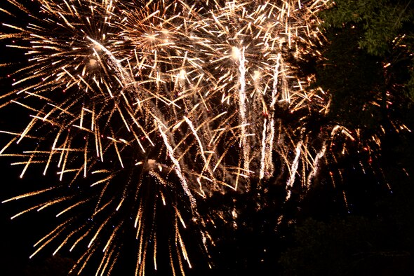 The Independence Day Celebration and Back to School Bash featured fireworks at the end of the festivities, Aug. 21, 2015, at Seymour Johnson Air Force Base, North Carolina.  The original Independence Day celebration was postponed due to weather back in July and was combined with the Back to School Bash. (U.S. Air Force photo/Airman 1st Class Ashley Williamson)