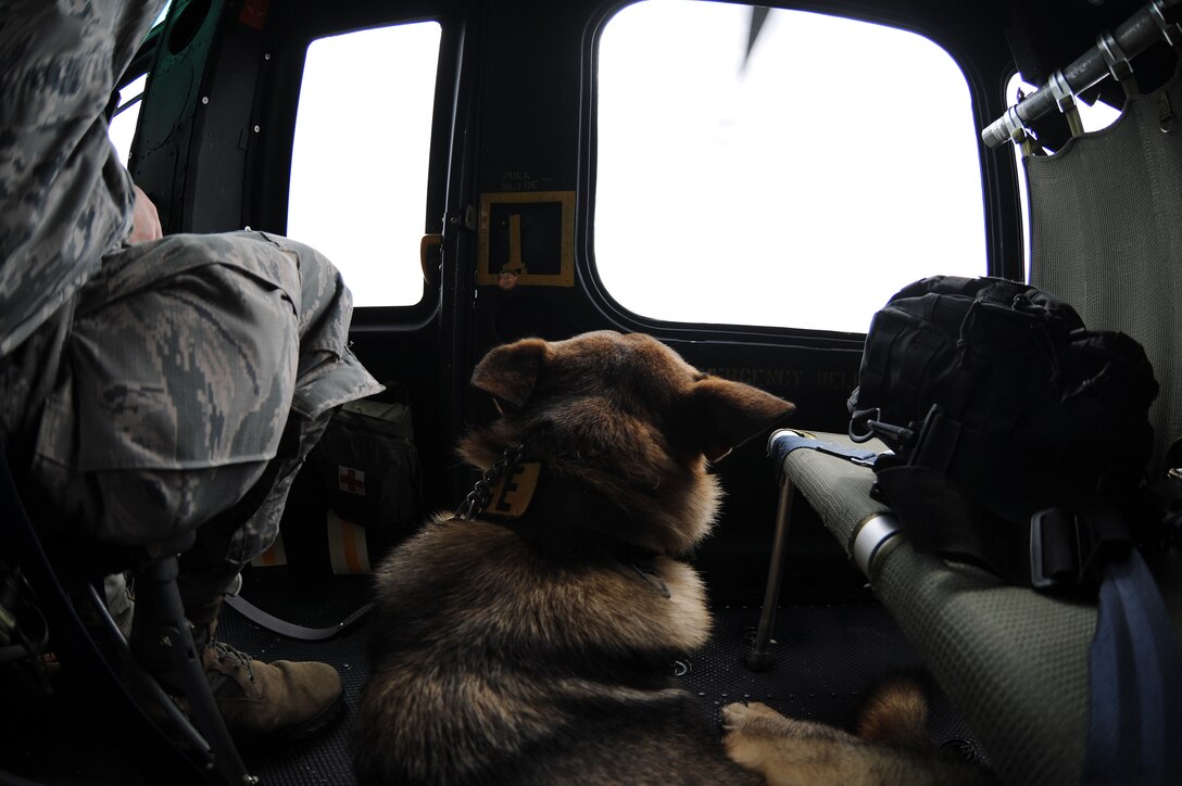 X, a military working dog, rides in a UH-1N Twin Huey helicopter over the National Capital Region, Aug. 19, 2015. Pilots from the 1st Helicopter Squadron flew the mission to get X better acclimated to helicopter noise and vibration. (U.S. Air Force photo/ Airman 1st Class J.D. Maidens)
