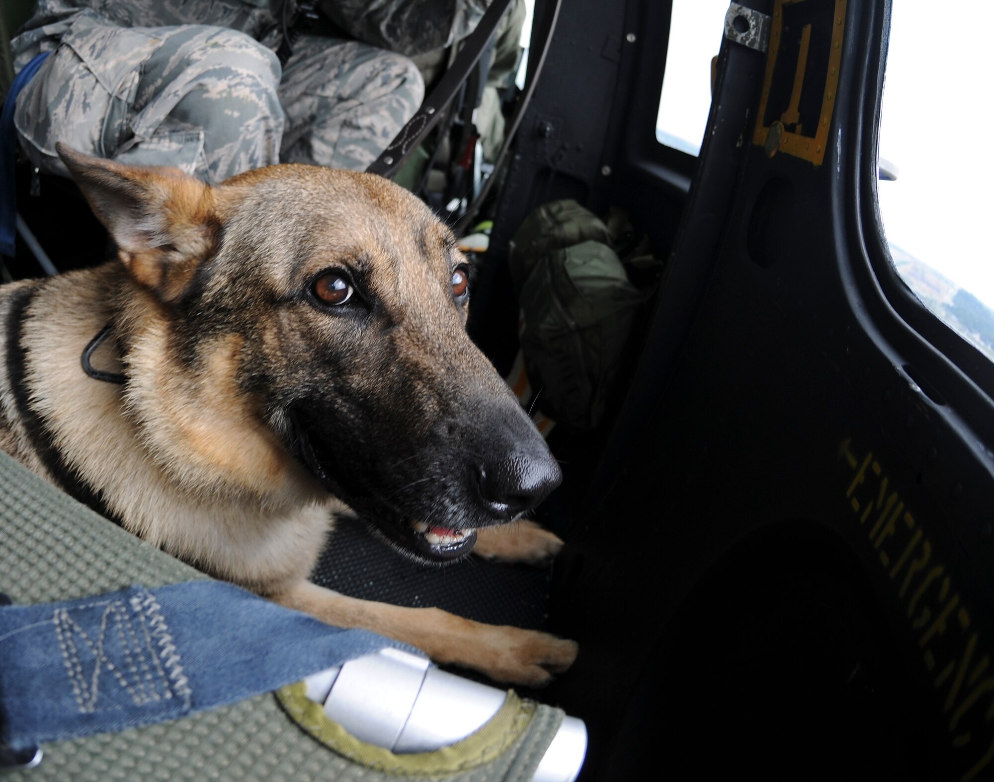 X, a military working dog, rides in a UH-1N Twin Huey helicopter over the National Capital Region, Aug. 19, 2015. Pilots from the 1st Helicopter Squadron flew the mission to get X better acclimated to helicopter noise and vibration. (U.S. Air Force photo/ Airman 1st Class J.D. Maidens)