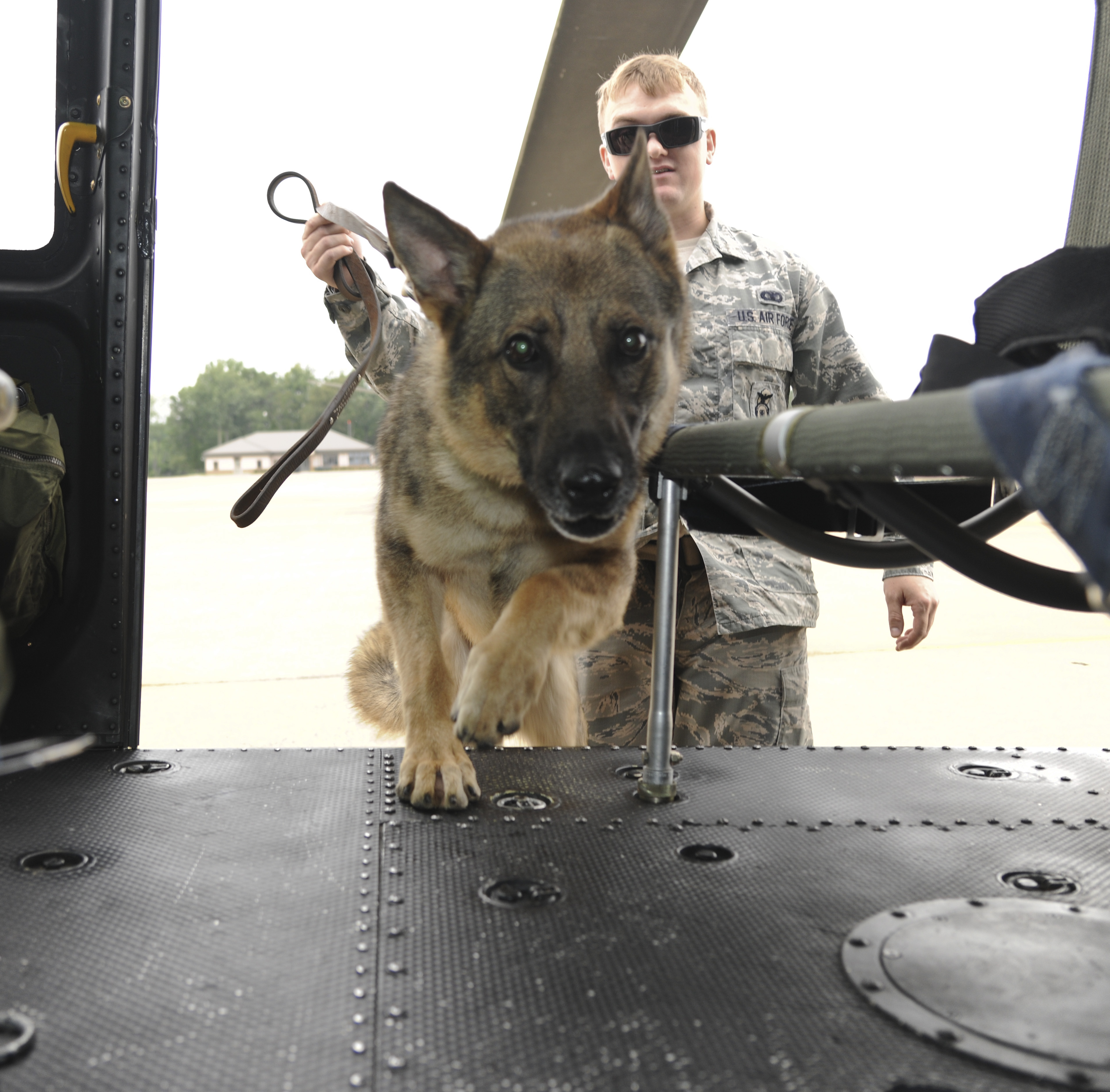 K9 Flight