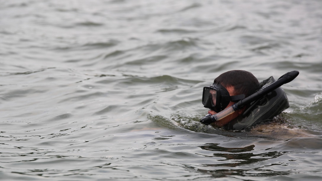 A Marine with 2nd Reconnaissance Battalion participates in an open water fin training aboard Camp Lejeune, N.C., Aug. 18, 2015. The swim is part of a two week pre-dive course in order to get Marines within the unit ready for the Marine Combatant Diver Course at the Naval Diving and Salvage Training Center, Panama City, Fla., later this year. 