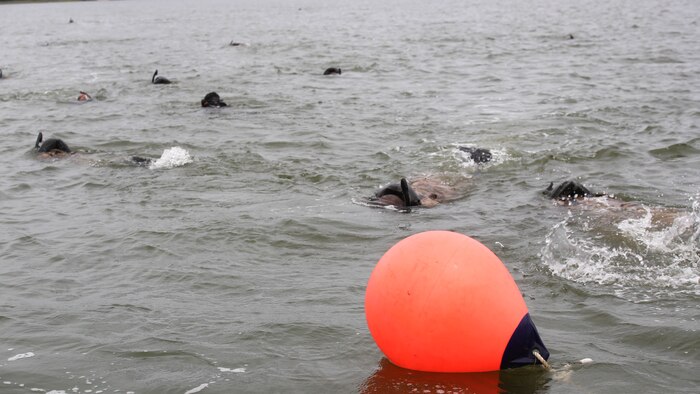 Marines with 2nd Reconnaissance Battalion conduct the 1,000 meter open water fin training for a pre-dive course conducted aboard Camp Lejeune, N.C. Aug. 18, 2015. During the course the Marines are critiqued on both their capabilities in a pool setting and in open water. After completion of the course, Marines who pass the final evaluation will go on to the Marine Combatant Diver Course at the Naval Diving and Salvage Training Center, Panama City, Fla.