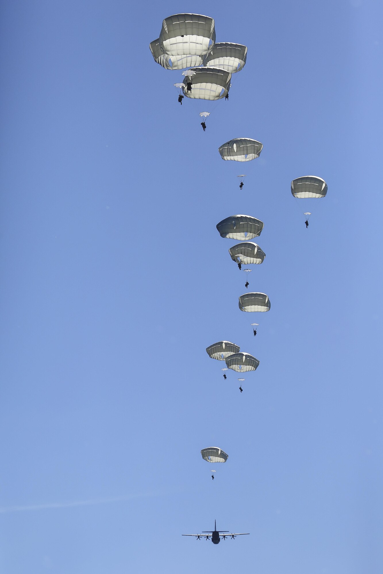 Paratroopers assigned to 1st Battalion (Airborne), 501st Infantry Regiment, 4th Infantry Brigade Combat Team (Airborne), 25th Infantry Division, U.S. Army Alaska descend after jumping out of a Royal Australian Air Force C-130J Super Hercules over Malemute drop zone, Joint Base Elmendorf-Richardson, Alaska, Aug. 24, 2015. Japanese Ground Self-Defense Force and U.S. Army paratroopers conducted the practice jump utilizing Royal Australian and U.S. Air Force aircraft as part of Pacific Airlift Rally 2015, a biennial, multilateral tactical military symposium designed to enhance military airlift interoperability and cooperation between nations of the Pacific region for future humanitarian missions. (U.S. Air Force photo by Alejandro Pena/Released)
