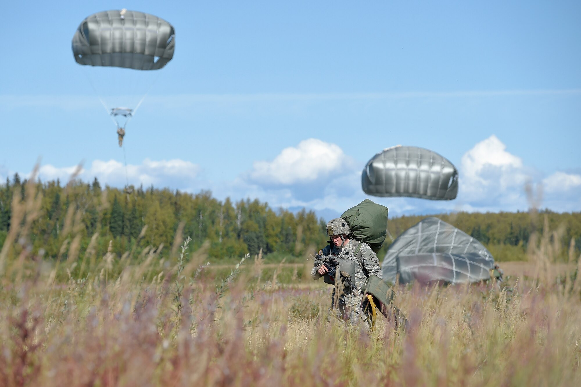 Paratroopers assigned to 1st Battalion (Airborne), 501st Infantry Regiment, 4th Infantry Brigade Combat Team (Airborne), 25th Infantry Division, U.S. Army Alaska, conduct a practice jump over Malemute drop zone, Joint Base Elmendorf-Richardson, Alaska, Aug. 24, 2015. Japanese Ground Self-Defense Force and U.S. Army paratroopers conducted the practice jump utilizing Royal Australian and U.S. Air Force aircraft as part of Pacific Airlift Rally 2015, a biennial, multilateral tactical military symposium designed to enhance military airlift interoperability and cooperation between nations of the Pacific region for future humanitarian missions. (U.S. Air Force photo/Alejandro Pena)