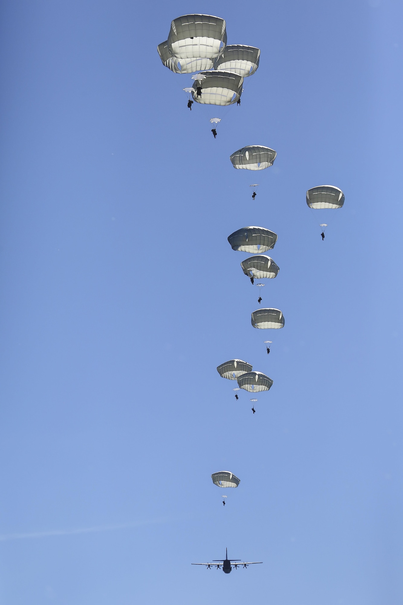 Paratroopers assigned to 1st Battalion (Airborne), 501st Infantry Regiment, 4th Infantry Brigade Combat Team (Airborne), 25th Infantry Division, U.S. Army Alaska descend after jumping out of a Royal Australian Air Force C-130J Super Hercules over Malemute drop zone, Joint Base Elmendorf-Richardson, Alaska, Aug. 24, 2015. Japanese Ground Self-Defense Force and U.S. Army paratroopers conducted the practice jump utilizing Royal Australian and U.S. Air Force aircraft as part of Pacific Airlift Rally 2015, a biennial, multilateral tactical military symposium designed to enhance military airlift interoperability and cooperation between nations of the Pacific region for future humanitarian missions. (U.S. Air Force photo/Alejandro Pena)