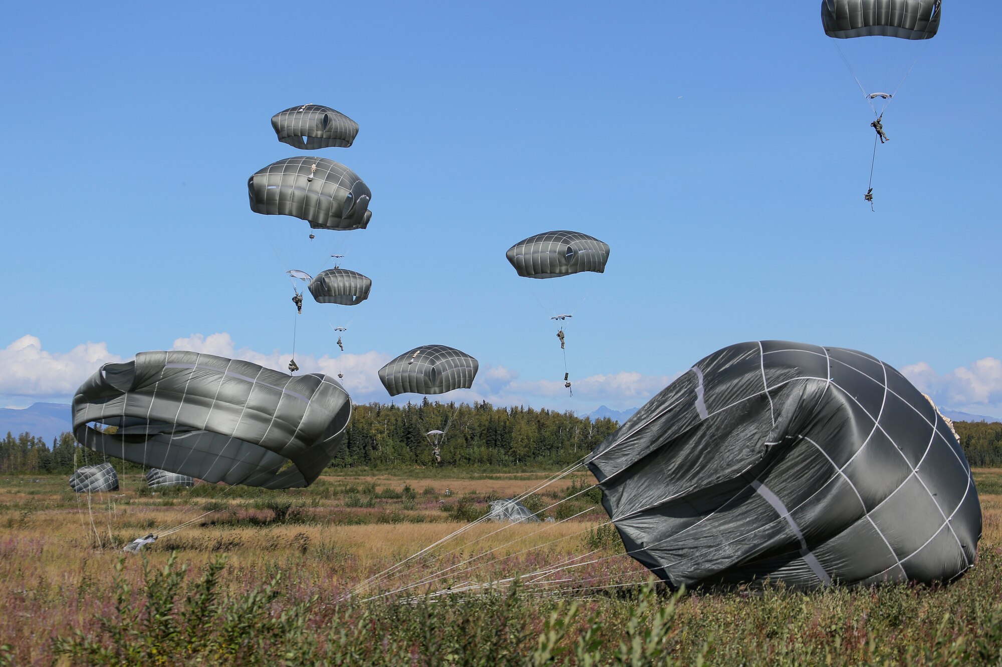 Paratroopers assigned to 1st Battalion (Airborne), 501st Infantry Regiment, 4th Infantry Brigade Combat Team (Airborne), 25th Infantry Division, U.S. Army Alaska, descend during a practice jump over Malemute drop zone, Joint Base Elmendorf-Richardson, Alaska, Aug. 24, 2015. Japanese Ground Self-Defense Force and U.S. Army paratroopers conducted the practice jump utilizing Royal Australian and U.S. Air Force aircraft as part of Pacific Airlift Rally 2015, a biennial, multilateral tactical military symposium designed to enhance military airlift interoperability and cooperation between nations of the Pacific region for future humanitarian missions. (U.S. Air Force photo/Alejandro Pena) 