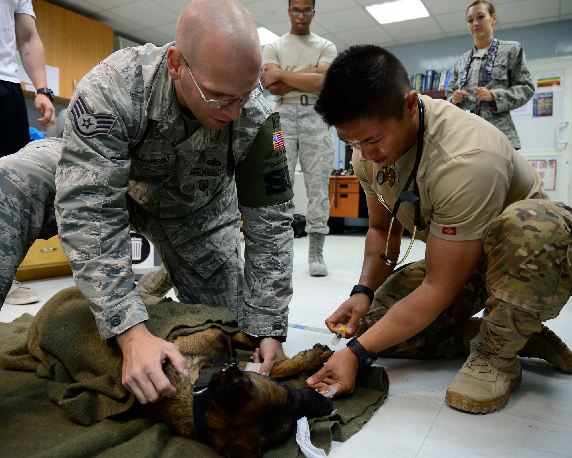 U.S. Air Force Staff Sgt. Kurtis Buchawiecki, , 386th Expeditionary Security Forces Squadron Military Working Dog handler, soothes FFrida,  386th ESFS MWD, while U.S. Army Capt. Raymond Wong, 463rd Military Detachment Veterinary Service veterinary officer in charge, removes the intubation tube after a dental cleaning at an undisclosed location in Southwest Asia Aug. 27, 2015. Dogs come with a set of specialized sensory organs enabling them to extract vital information from their environment making them ideal for military operations. (U.S. Air Force photo by Senior Airman Racheal E. Watson/Released)
