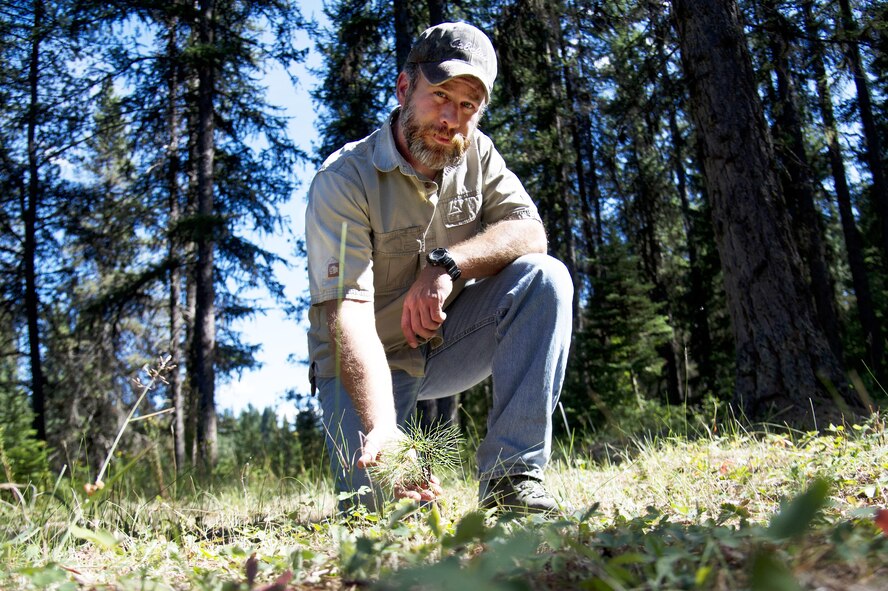 Todd Foster, 336th Training Group training area manager, checks out a sapling July 29, 2015, at Colville National Forest, Wash. Between 500 to 1,200 trees per area have been planted in U.S. Air Force Survival School training areas because of the efforts from Foster and Rick Hall, Air Force liaison to the U.S. Forest Service. This effort gives nature a jumpstart by 10 to 15 years. (U.S. Air Force photo/Airman 1st Class Nicolo J. Daniello