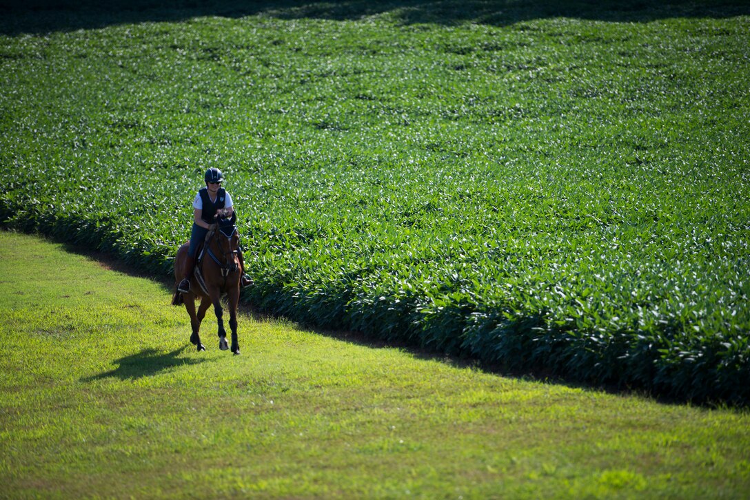 Capt. Lindsey Colburn, 11th Wing executive officer and her horse, Soon, ride on Leighton Farm, Upper Marlboro, Md., Aug. 21, 2015. Colburn has been riding horses since she was seven and owned her first horse when she was 12. (U.S. Air Force photo by Staff Sgt. Chad C. Strohmeyer)(Released)