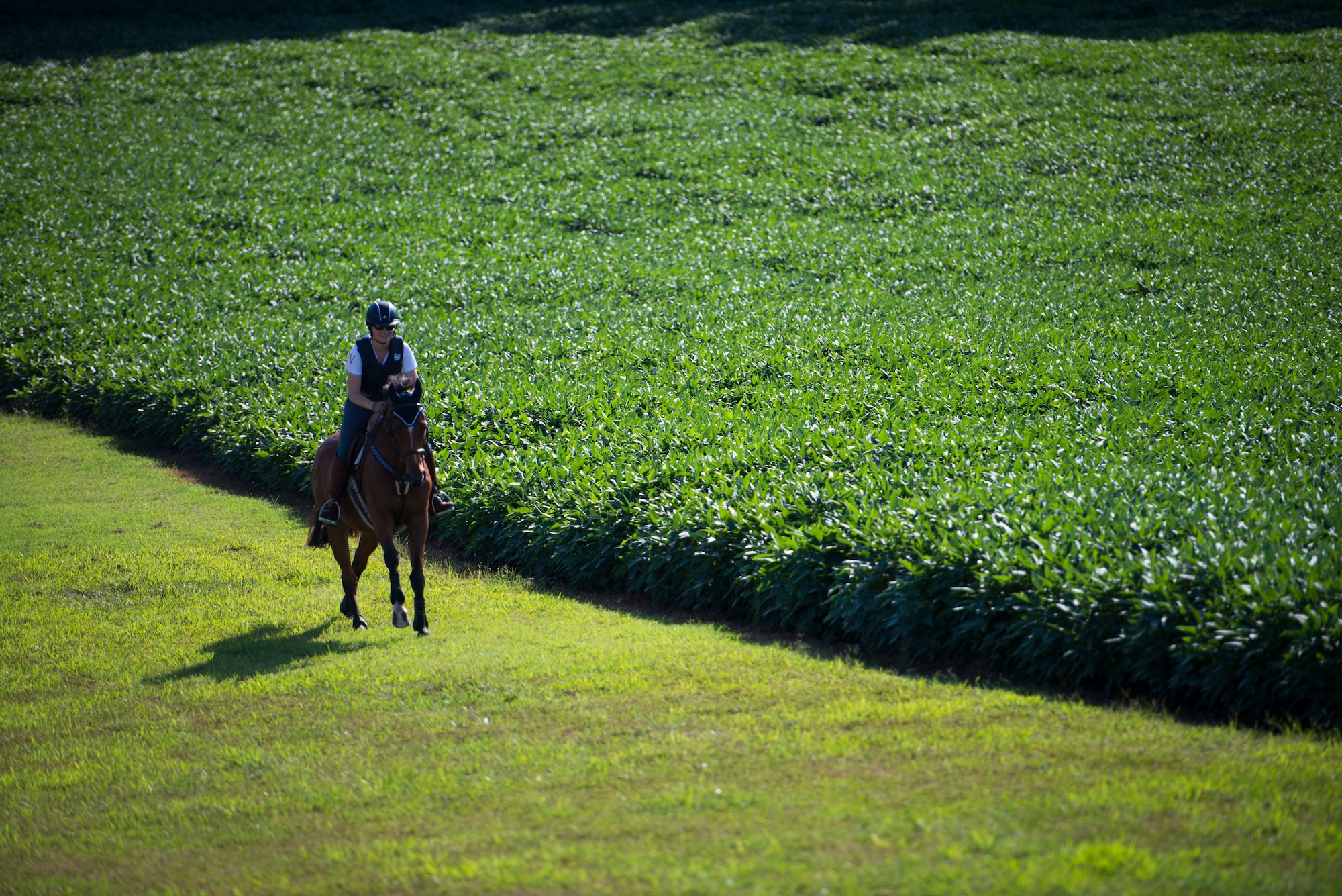 Capt. Lindsey Colburn, 11th Wing executive officer and her horse, Soon, ride on Leighton Farm, Upper Marlboro, Md., Aug. 21, 2015. Colburn has been riding horses since she was seven and owned her first horse when she was 12. (U.S. Air Force photo by Staff Sgt. Chad C. Strohmeyer)(Released)