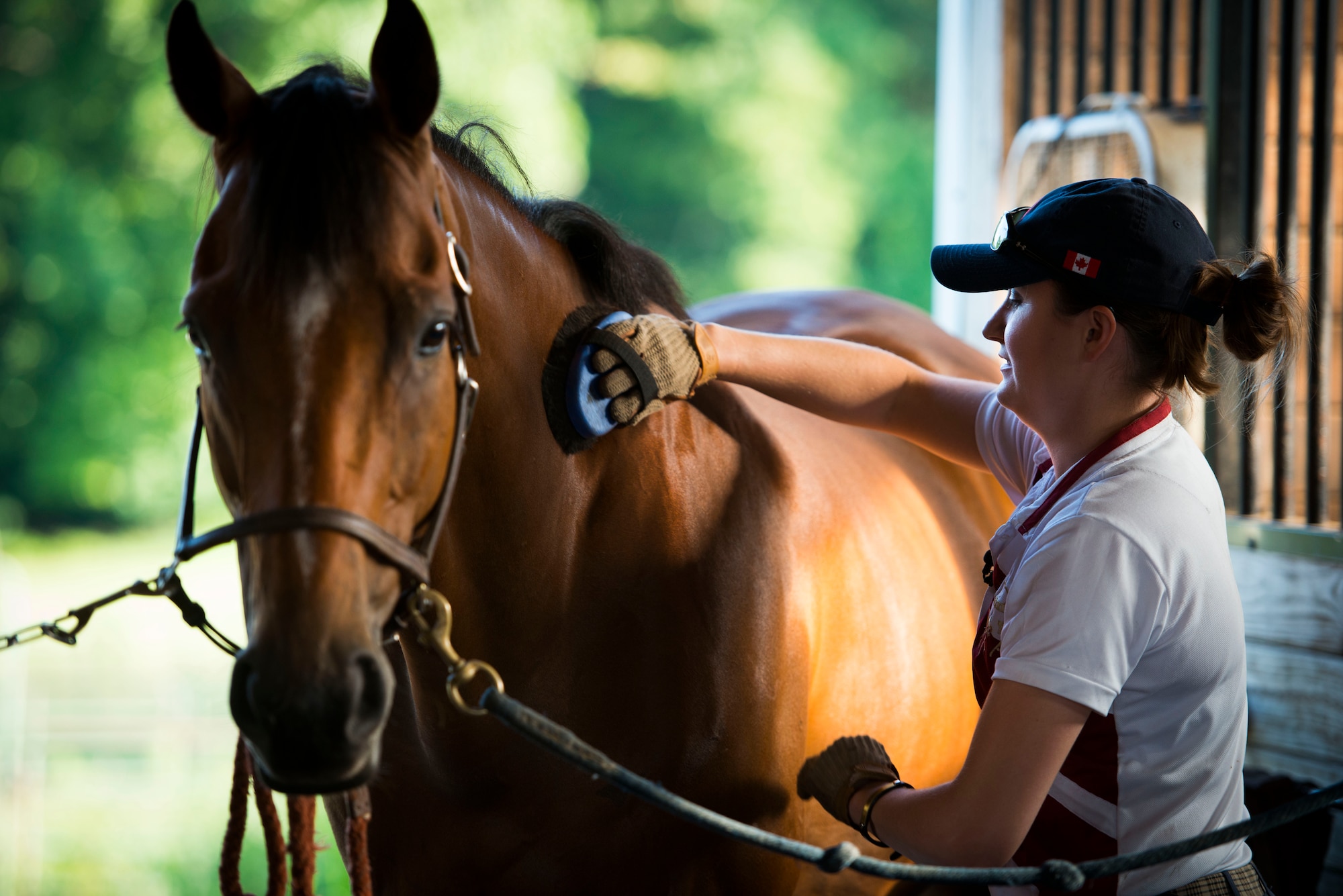 Capt. Lindsey Colburn, 11th Wing executive officer, brushes her horse, Soon, prior to riding on Leighton Farm, Upper Marlboro, Md., Aug. 21, 2015. Brushing regularly keeps the horse clean and free from skin infections as well as promotes a strong bond between horse and rider. (U.S. Air Force photo by Staff Sgt. Chad C. Strohmeyer)(Released)