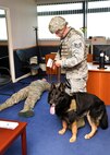 U.S. Air Force Staff Sgt. Roy Carter, right, 100th Security Forces Squadron Military Working Dog handler, checks an exercise inject for a victim of a simulated active shooter as MWD Luc helps him clear a room during an exercise Aug. 25, 2015, on RAF Mildenhall, England. As part of an emergency lockdown exercise, a simulated armed assailant was on base testing service members’ reactions to the scenario. (U.S. Air Force photo by Karen Abeyasekere/Released)