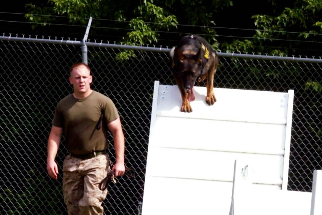 Security Battalion of Marine Corps Base Quantico conducts numerous exercises to implement safety, best practices, situation readiness and maximum capability to meet any challenge in its mission to secure the installation. The ability to counter any threat or breach to Quantico's daily operations/purpose is constantly maintained through routine and thorough training measures.