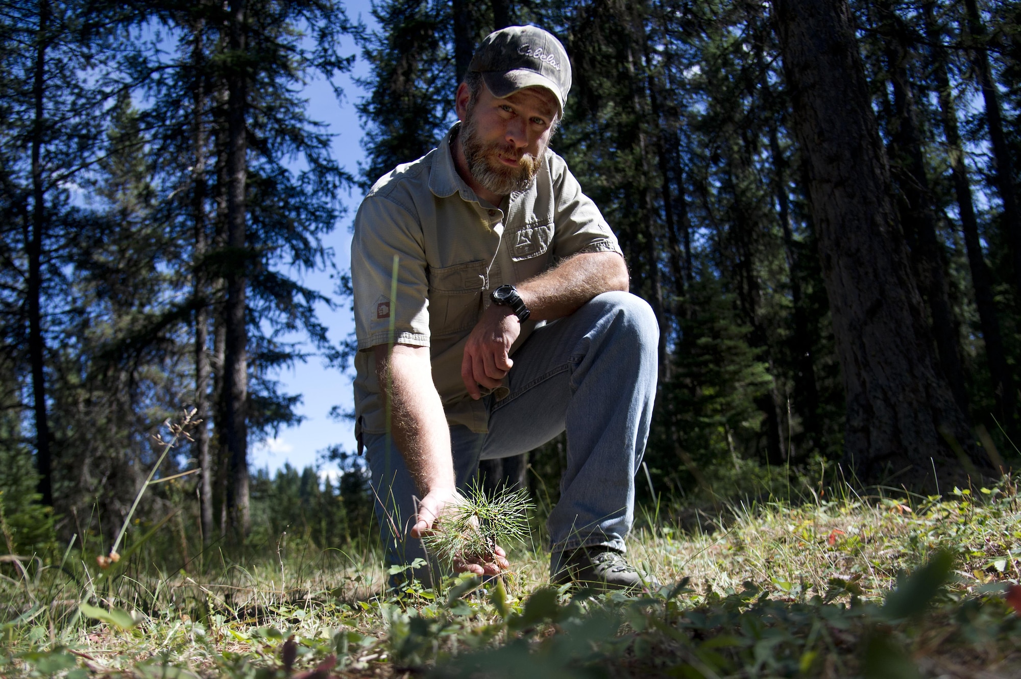 Todd Foster, the 336th Training Group training area manager, poses with a sapling July 29, 2015, at Colville National Forest, Wash. With efforts from Foster and Rick Hall, an Air Force liaison to the U.S. Forest Service, between 500 and 1,200 trees per area, have been planted in U.S. Air Force Survival School training areas giving nature a jumpstart by 10 to 15 years. (U.S. Air Force photo/Airman 1st Class Nicolo J. Daniello)