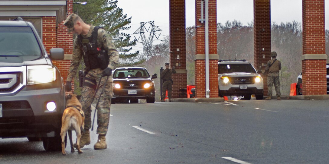 A working dog and his handler conduct a security check on a vehicle.