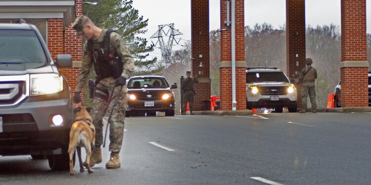 A working dog and his handler conduct a security check on a vehicle.