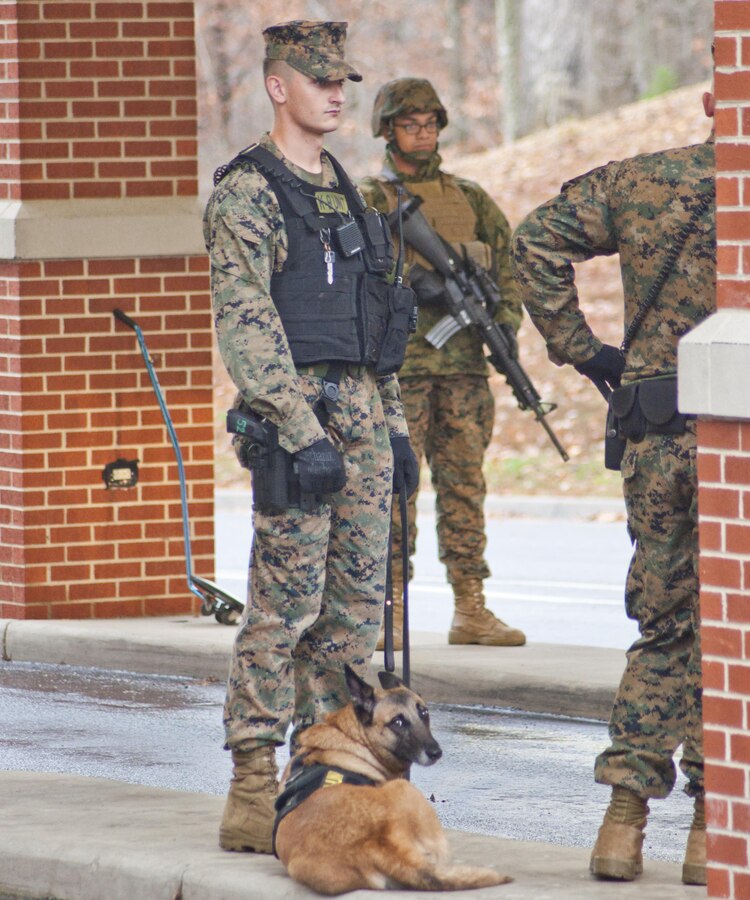 A canine handler and working dog with the Quantico Canine Unit provide security checks at the back gate.
