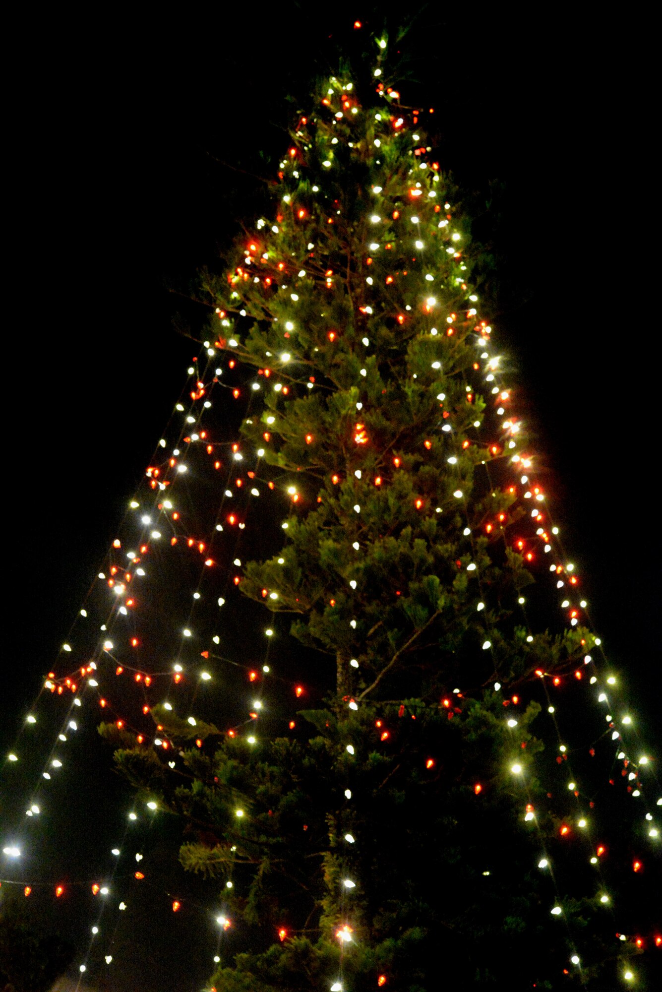 The holiday tree is lit for the first time during the annual tree lighting ceremony Dec. 1, 2015, at Andersen Air Force Base, Guam. Approximately 300 people attended the ceremony in celebration of the holiday season. (U.S. Air Force photo by Airman 1st Class Jacob Skovo/Released)