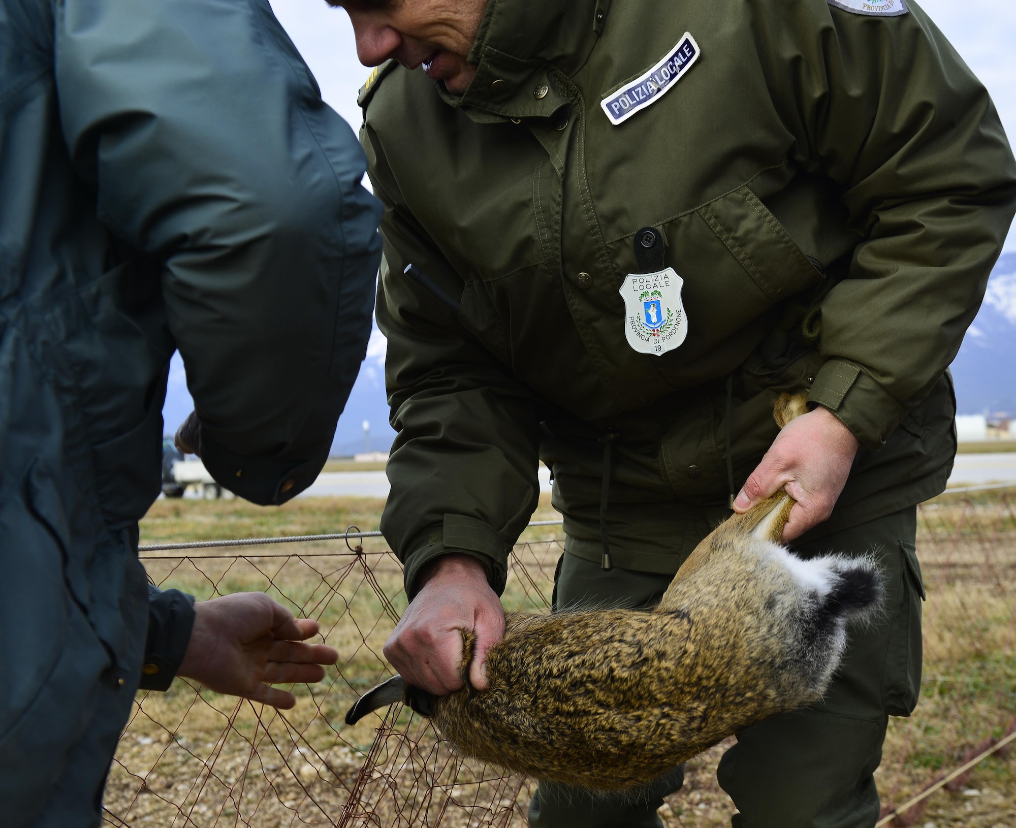 Two Italian State Forestry Corps members remove a rabbit from a net during a “Rabbit Roundup” event, Nov. 25, 2015, at Aviano Air Base, Italy. The Forestry Corps personnel, who are similar to game wardens or wildlife protectors, and about 300 U.S. and Italian volunteers relocated 26 rabbits to a safe area off base. (U.S. Air Force photo/Airman 1st Class Cary Smith)