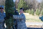 New York Air National Guard Master Sgt. Kara Tatlock passes a Christmas tree to Army Natiomal Guard Sgt. Maj. David Smiiith to help load Christmas trees bound for military forces at Ellms Tree Farm Nov. 30 as part of the shipment of holiday trees for troops. Twenty members of the New York Army and Air National Guard volunteered their time to help load about 125 donated Christmas Trees at Ellms Tree Farm in Charlton, N.Y.The donated trees will be delivered to Fort Bragg, North Carolina. 